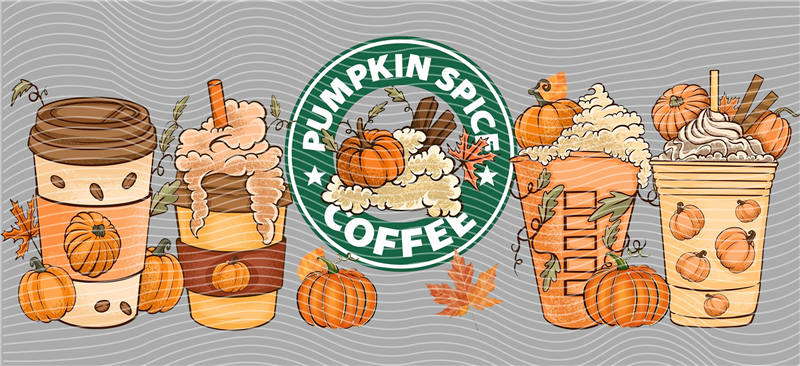 16oz Most popular-2412